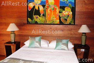 Coconut Paradise 36